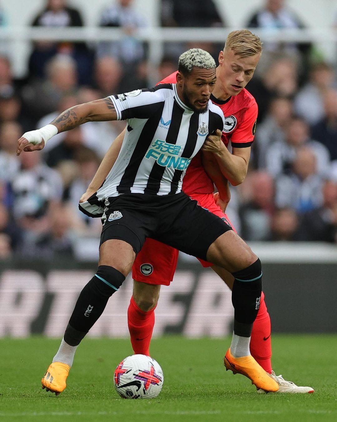 水上运动会会徽设计欣赏